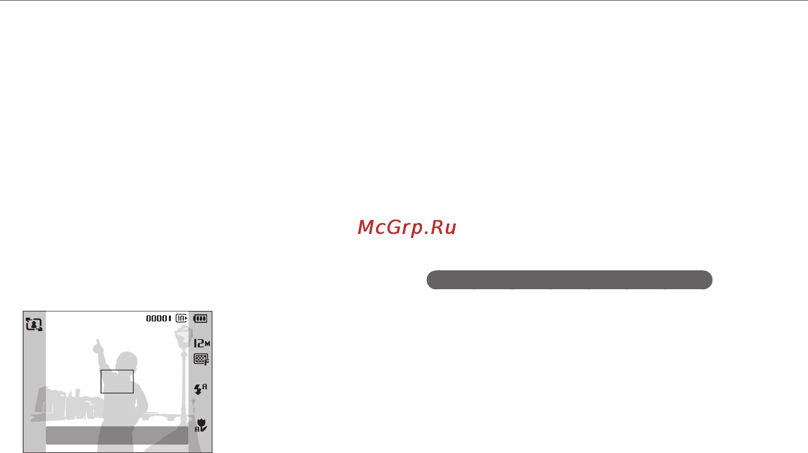 Samsung PL100 Black [31/100] Гид по композиции кадра