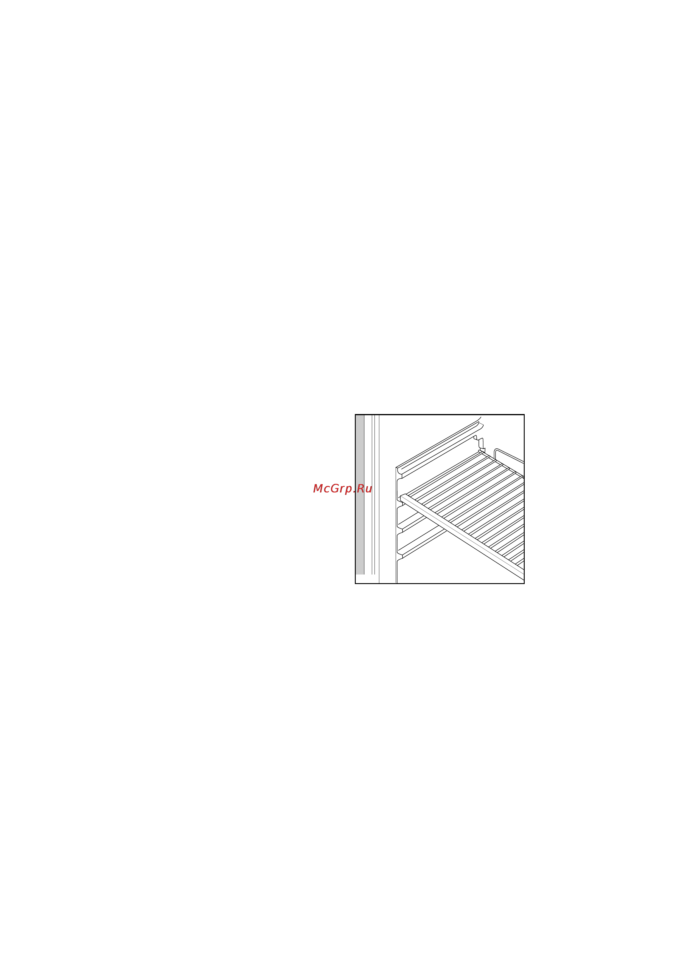 Zanussi ZFC 22/10 RD [9/12] Polki reguliruemye po vysote