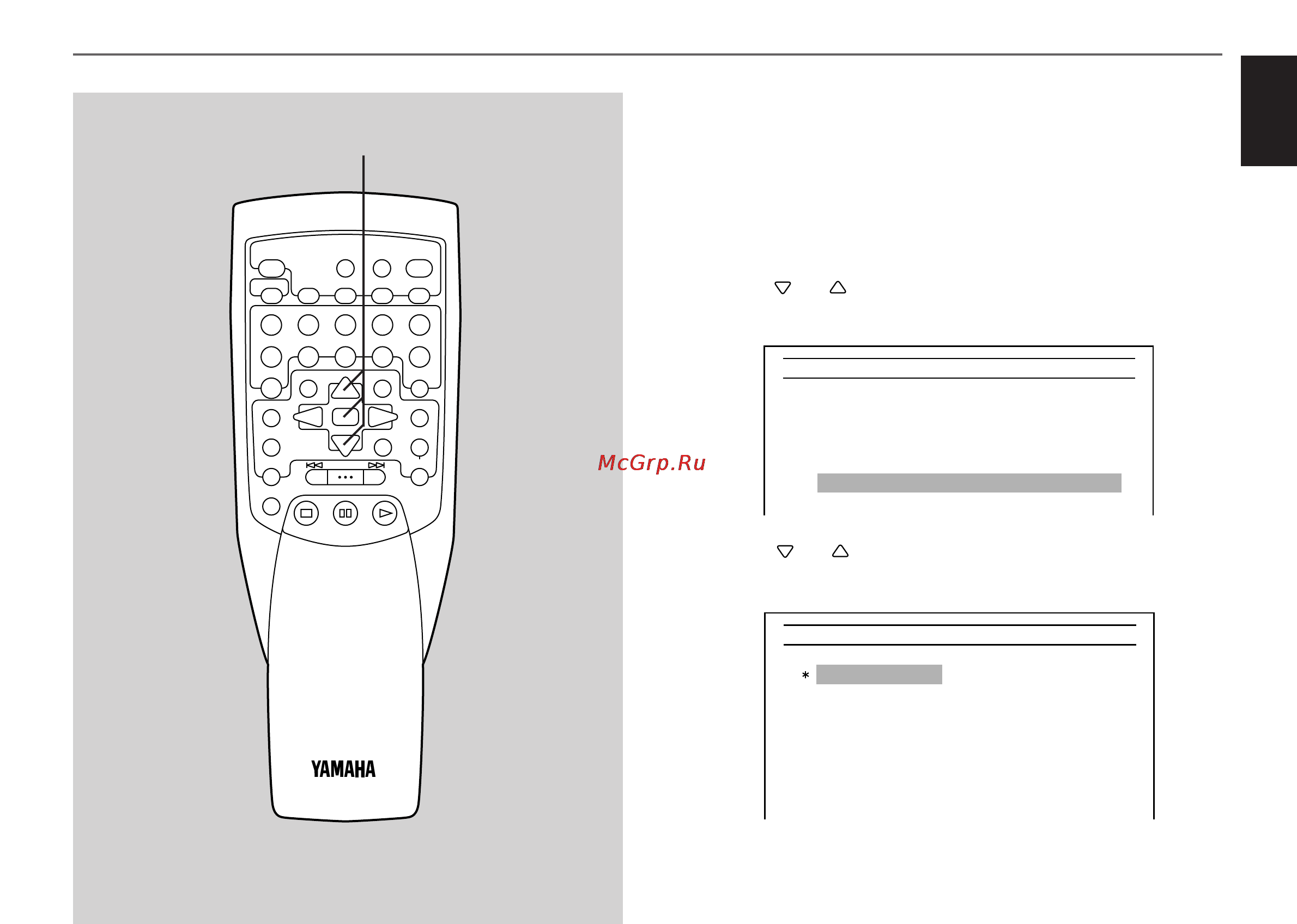 Yamaha DVD-C900 [53/74] Audio language