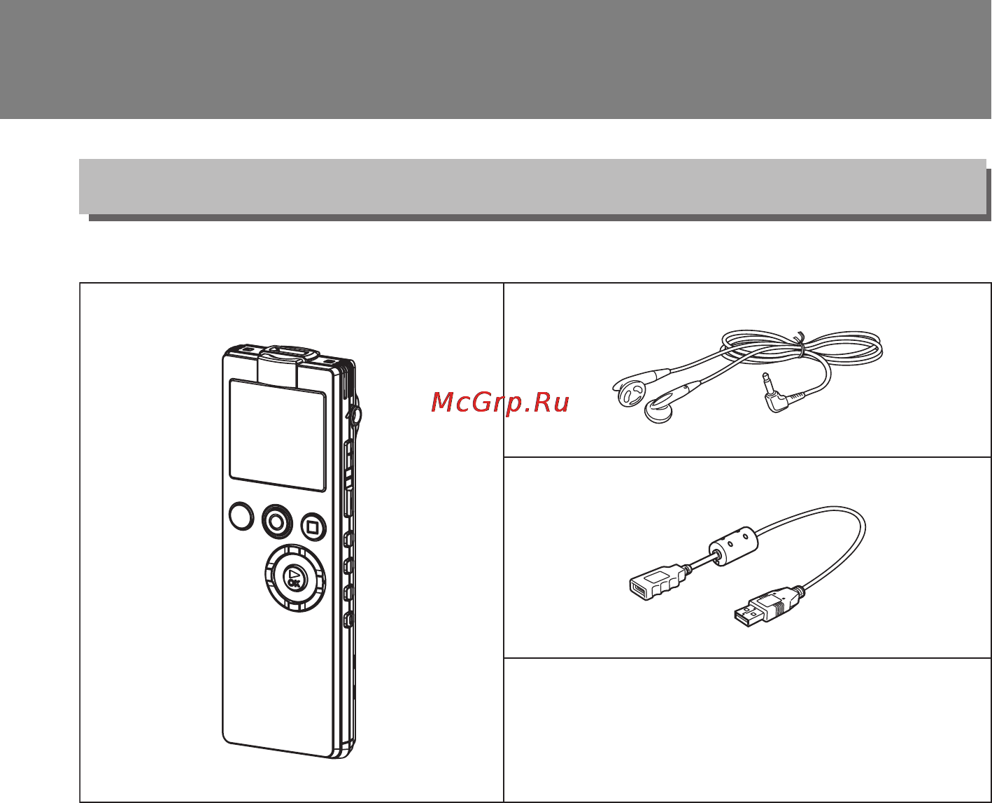 Sanyo ICR-EH 800 PCM, 2Gb + SD [6/134] Проверка наличия принадлежностей