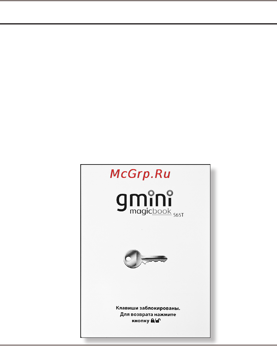 Gmini S65T [8/52] Включение и выключение устройства