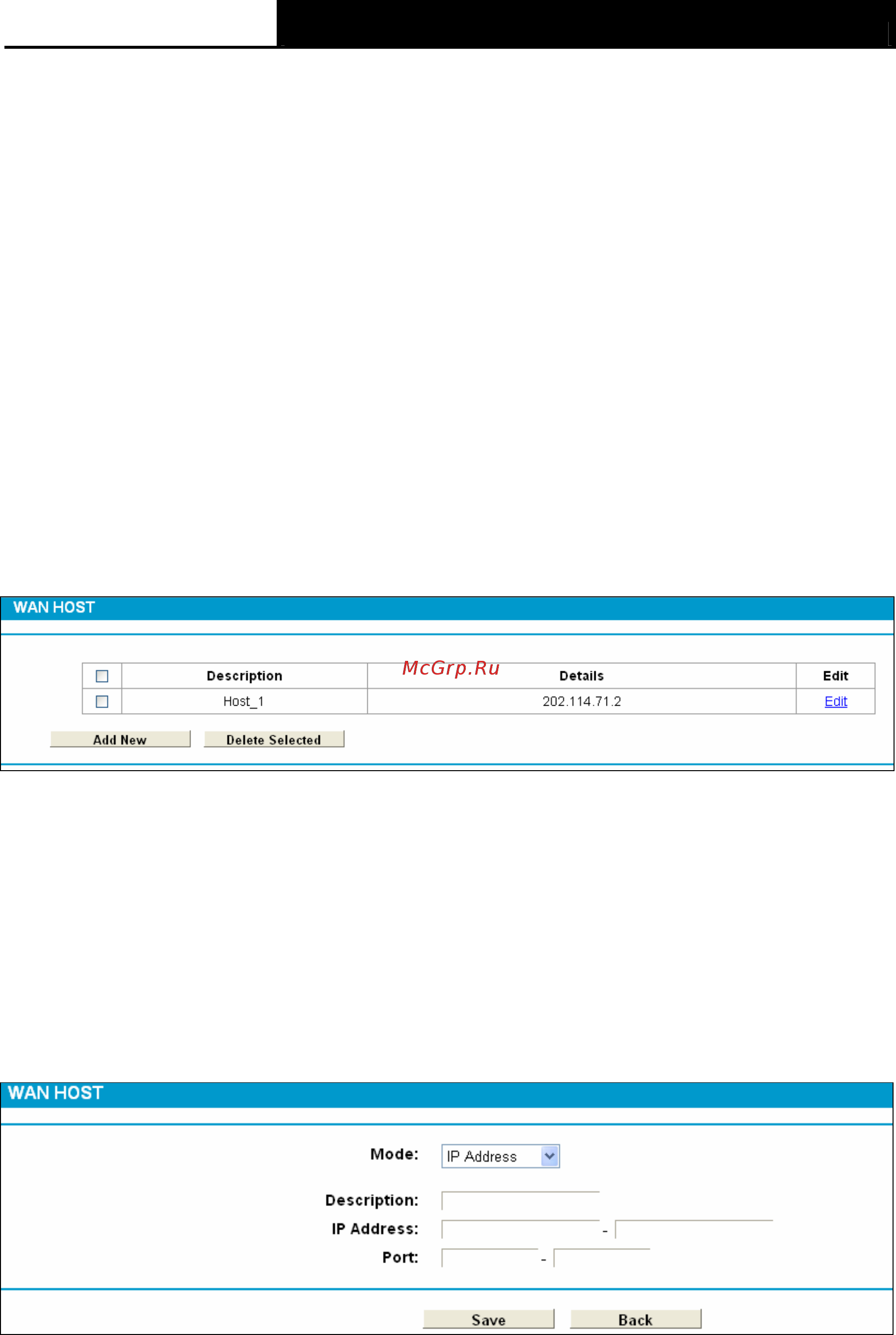 Tp-Link TD-W8968 [84/117] Wan host
