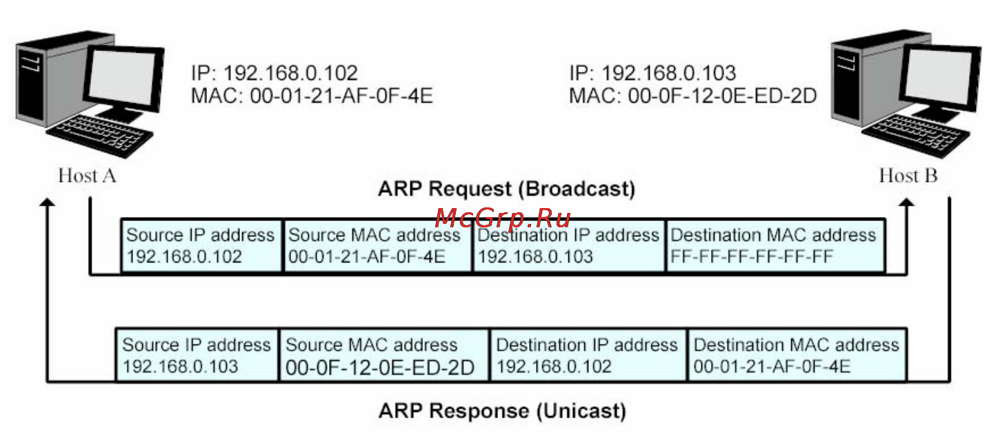 Tp-Link TL-SG3424 [155/241] Arp scanning