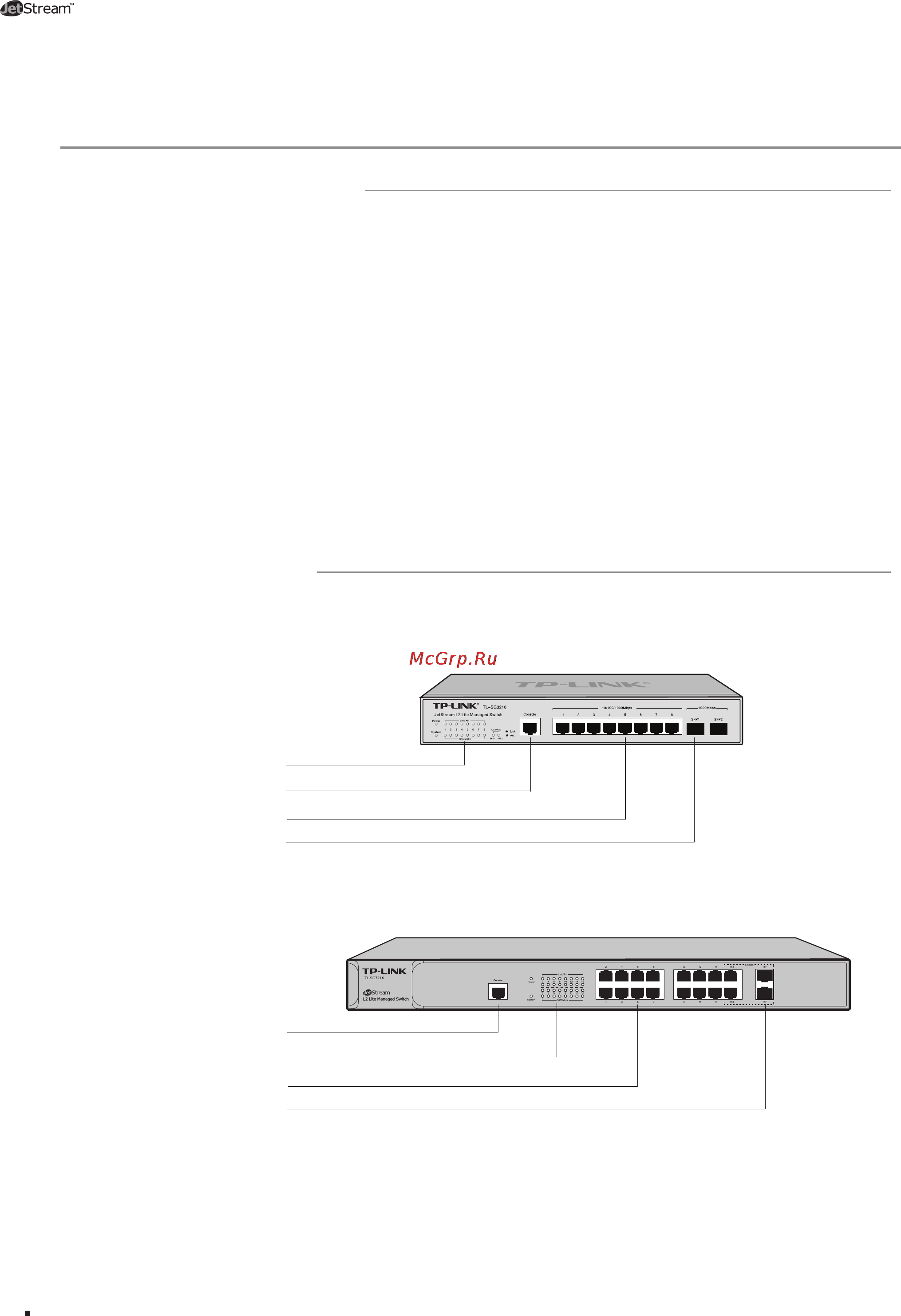 Tp-Link TL-SG3210 [6/32] Introduction chacter c