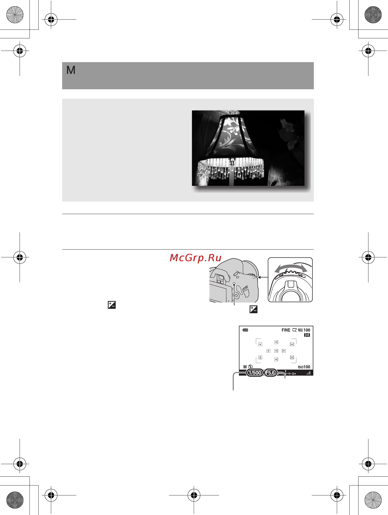 Sony DSLR-A390Y 18-55 + 55-200 [70/198] Съемка с ручной регулировкой экспозиции ручная экспозиция