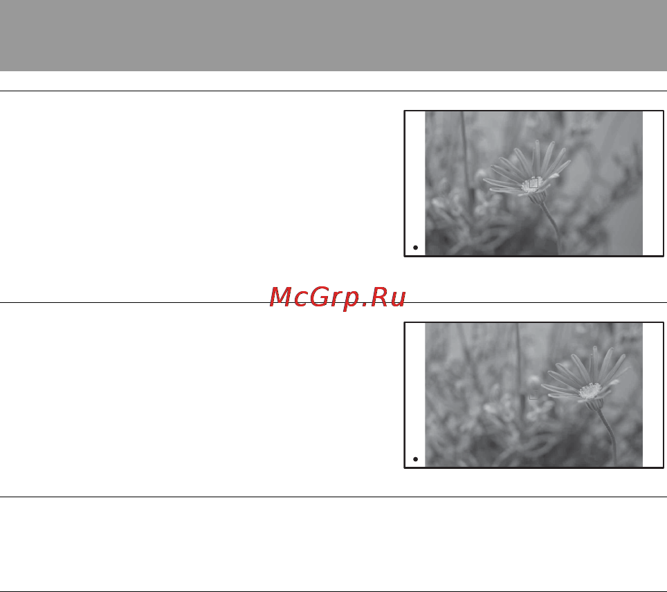 Sony SLT-A55VY 18-55 + 52-200 [100/239] Съемка с композицией заданной пользователем блокировка фокуса