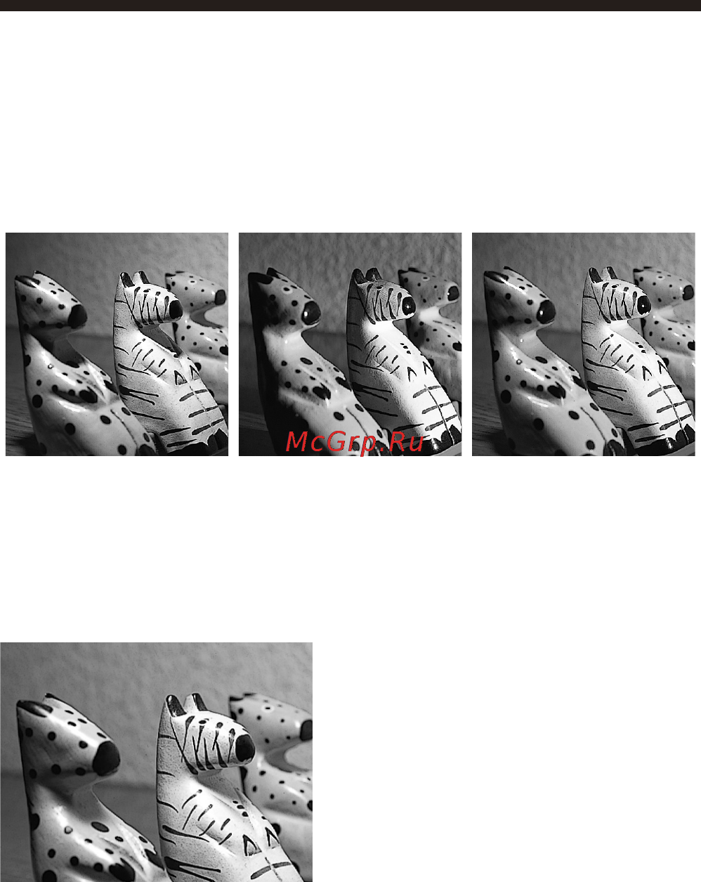 Sony HVL-MT24AM [110/295] Exemplos de fotografias tiradas com o flash duplo de macro