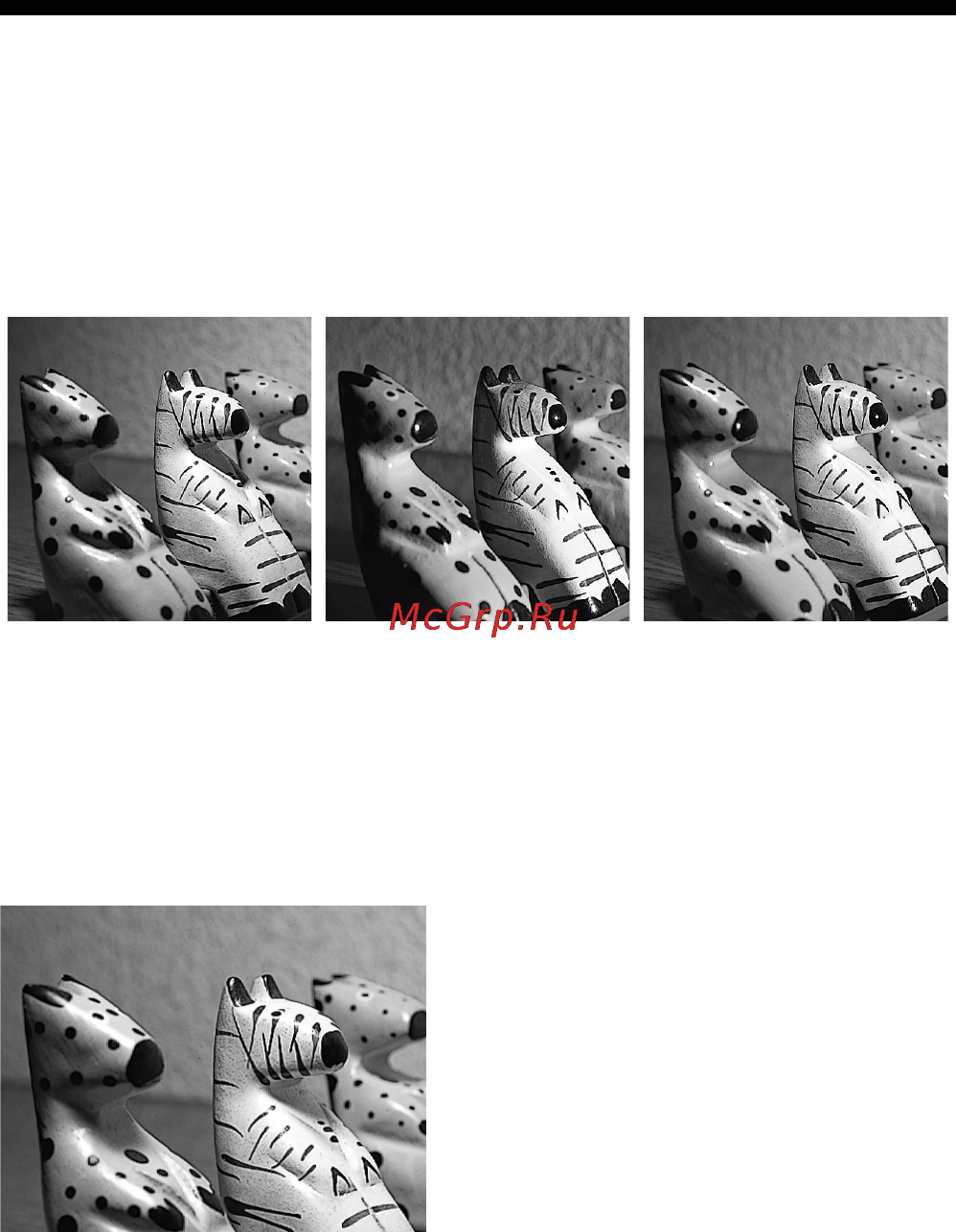 Sony HVL-MT24AM [168/295] Ejemplos de fotografía con un flash gemelo macro