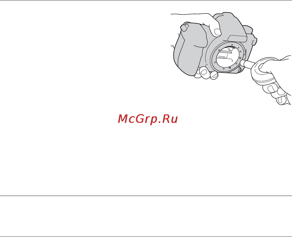 Sony Alpha DSLR-A850 [34/203] Используйте воздуходувку для чистки поверхности датчика изображения и вокруг него