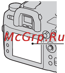 Sony Alpha DSLR-A850 [5/203] Изображения используемые в данном руководстве