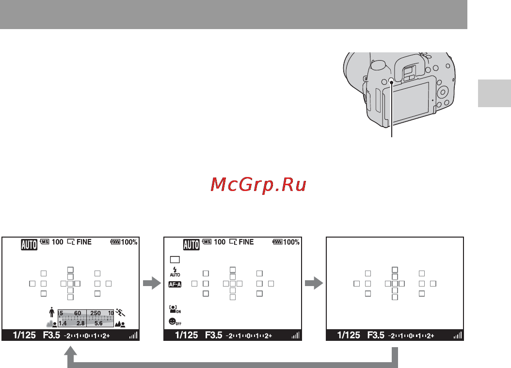 Sony Alpha DSLR-A580 [45/231] В режиме live view при каждом нажатии на кнопку disp отображение информации о записи меняется следующим образом