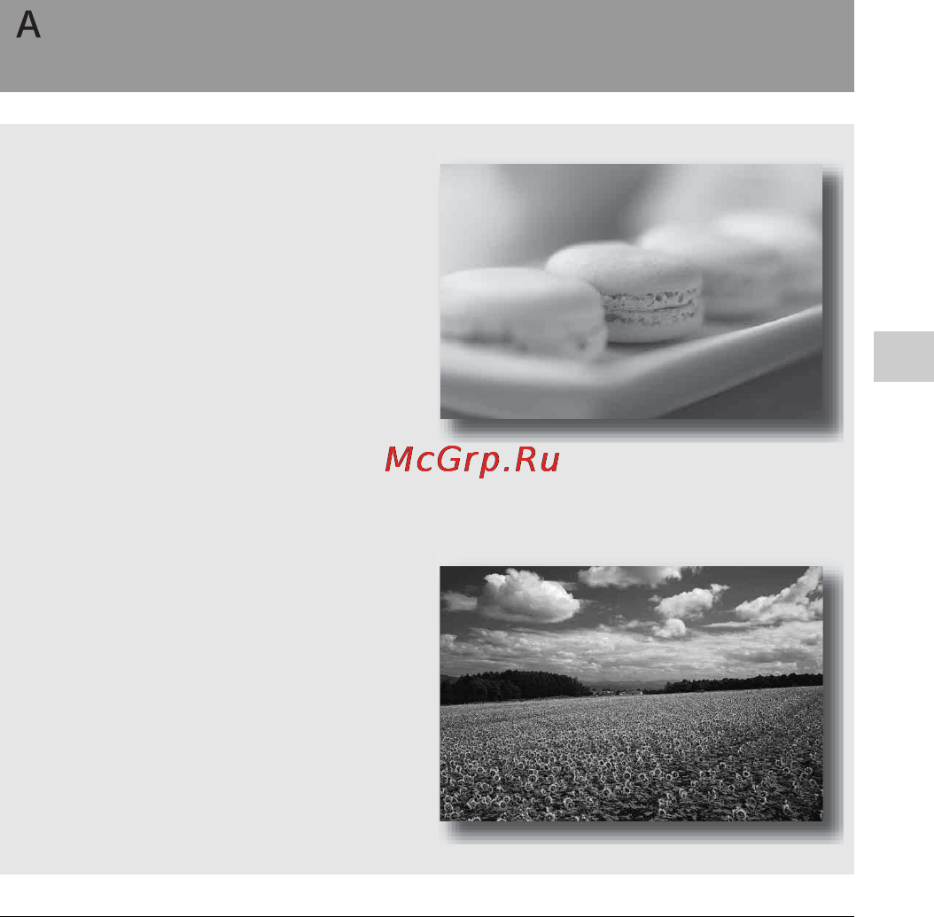 Sony Alpha DSLR-A580 [79/231] Съемка с контролем размывания фона приоритет диафрагмы