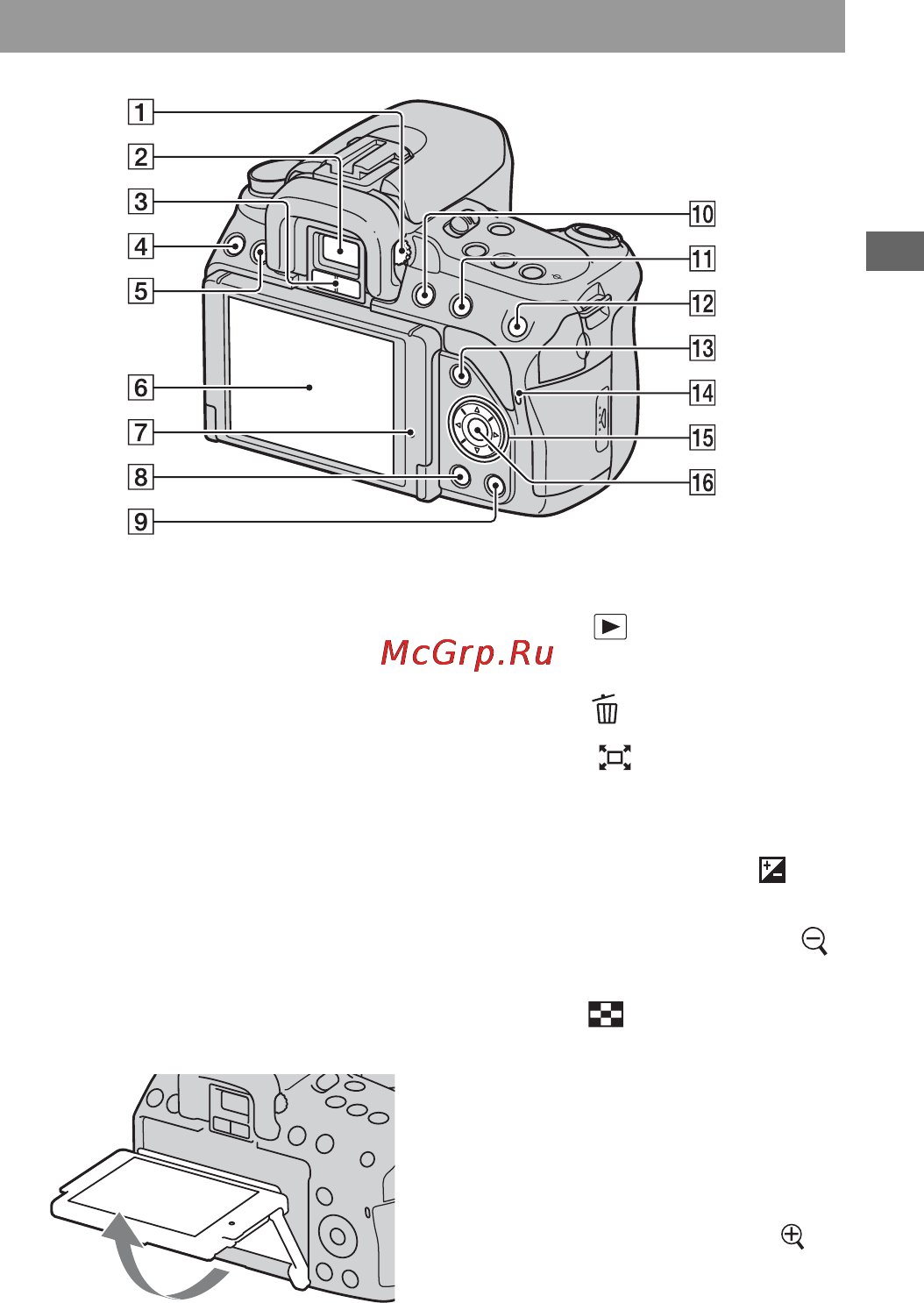 Sony Alpha DSLR-A550 [37/201] Задняя сторона