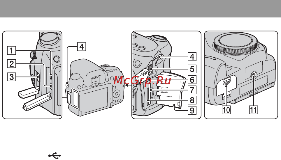 Sony Alpha DSLR-A550 [40/201] Боковые стороны низ