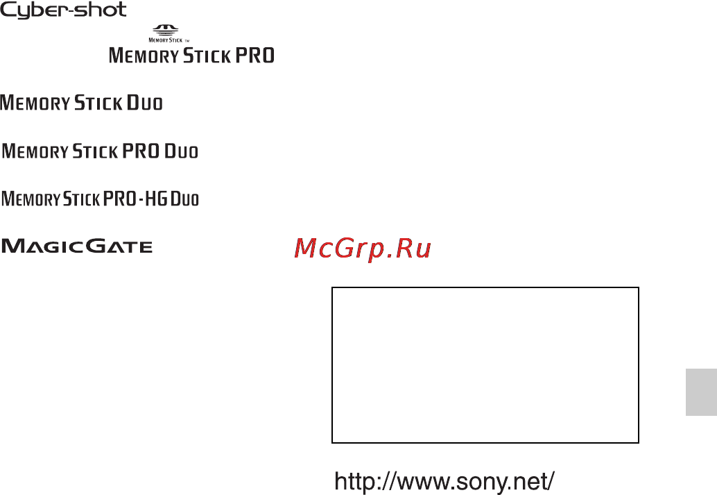 Sony DSC-T110D Инструкция по эксплуатации онлайн [101/104] 39638