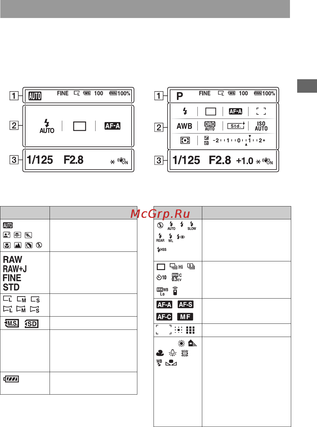 Sony DSLR-A450Y 18-55 + 55-200 Black [41/190] Жк монитор стандартное отображение