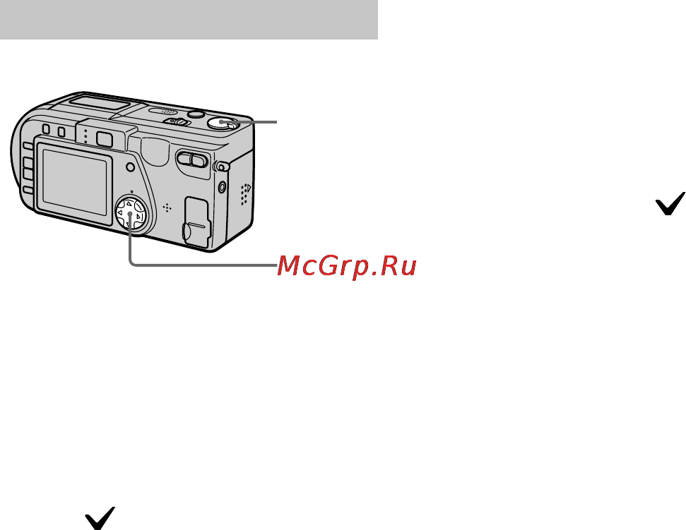 Sony Cyber-Shot DSC-P1 [54/72] In index mode