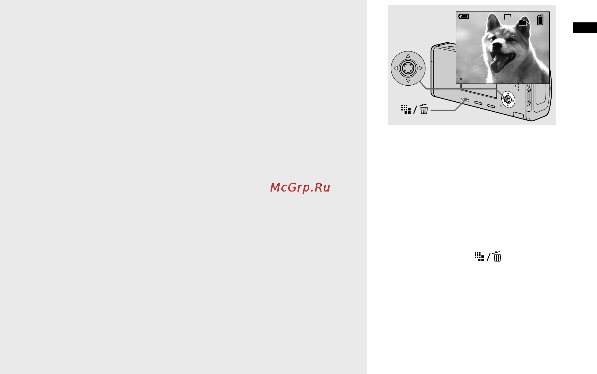 Sony Cyber-Shot DSC-L1 [31/280] Проверка последнего снятого изображения быстрый обзор