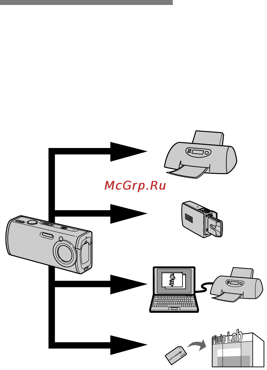 Sony Cyber-Shot DSC-L1 [76/280] Печать неподвижных изображений