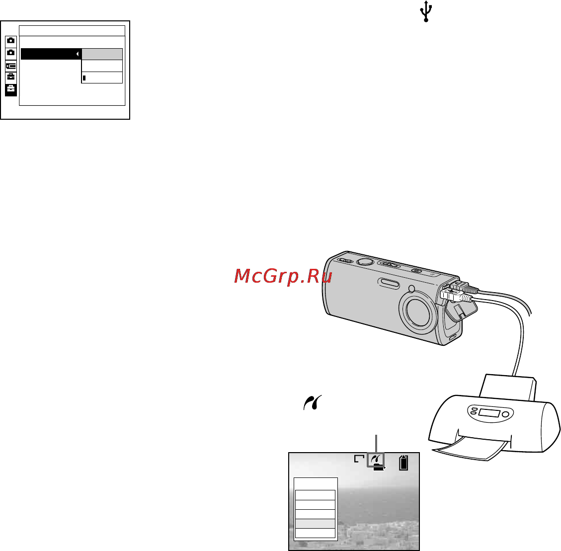 Sony Cyber-Shot DSC-L1 [78/280] Подсоединение фотоаппарата к принтеру