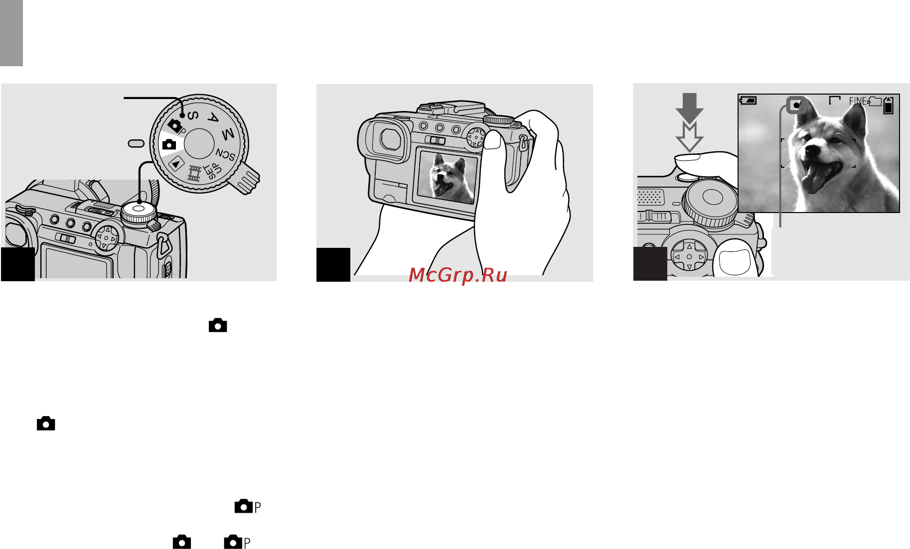 Sony Cyber-Shot DSC-F717 [20/260] Основы съемки неподвижного изображения использование режима автоматической регулировки