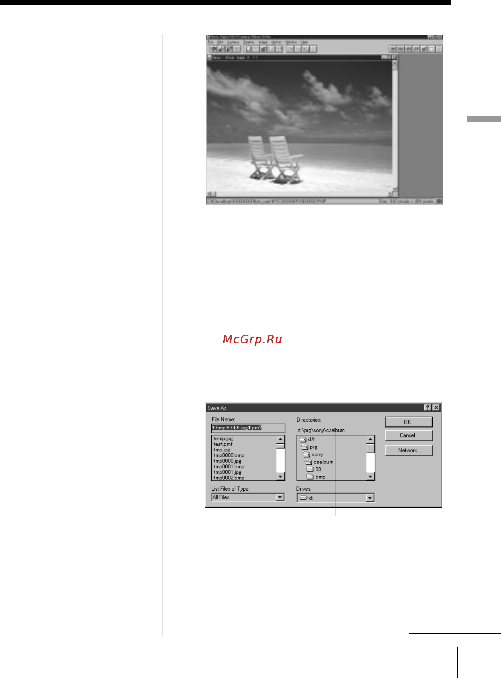 Sony Cyber-Shot DSC-F1 [51/128] Capturing an image