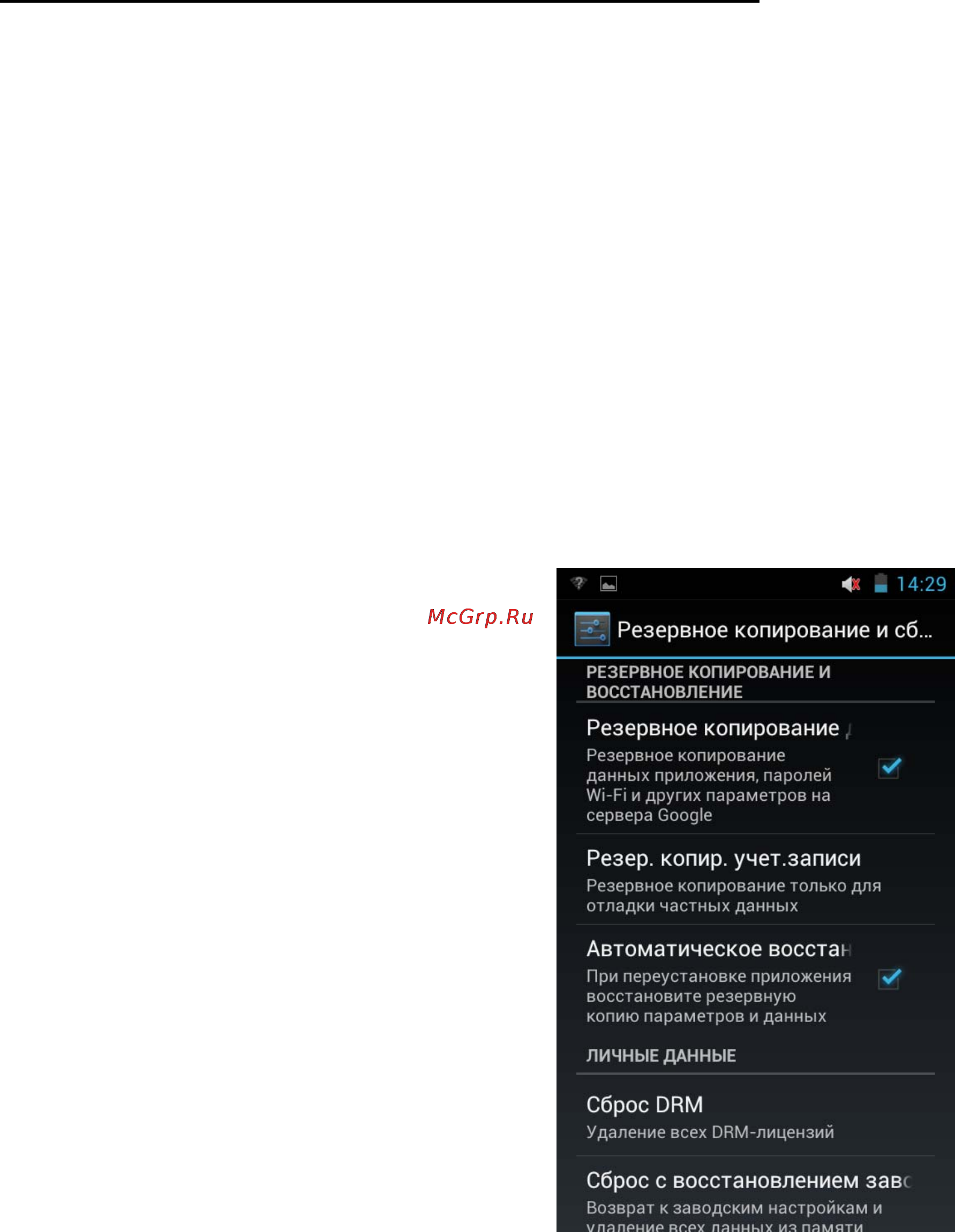 Explay Surfer 7.02 [71/80] Настройки конфиденциальности