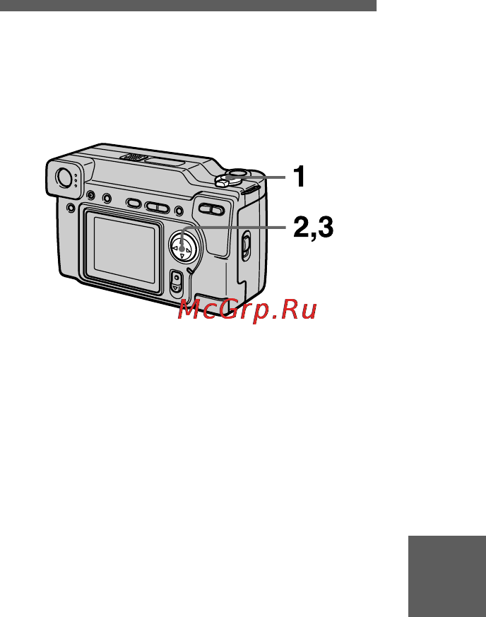 Sony Cyber-Shot DSC-S70 [113/140] B bb b olika sätt att ta bilder