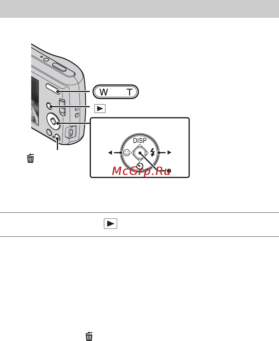 Sony Cyber-Shot DSC-S3000 [32/72] Просмотр изображений