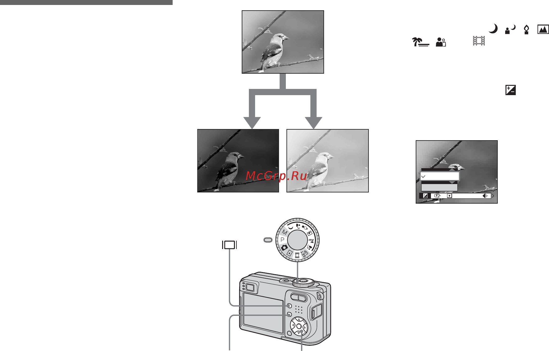 Sony Cyber-Shot DSC-W1 [62/276] Ãåãóëè²îâêà æêñïîçèöèè