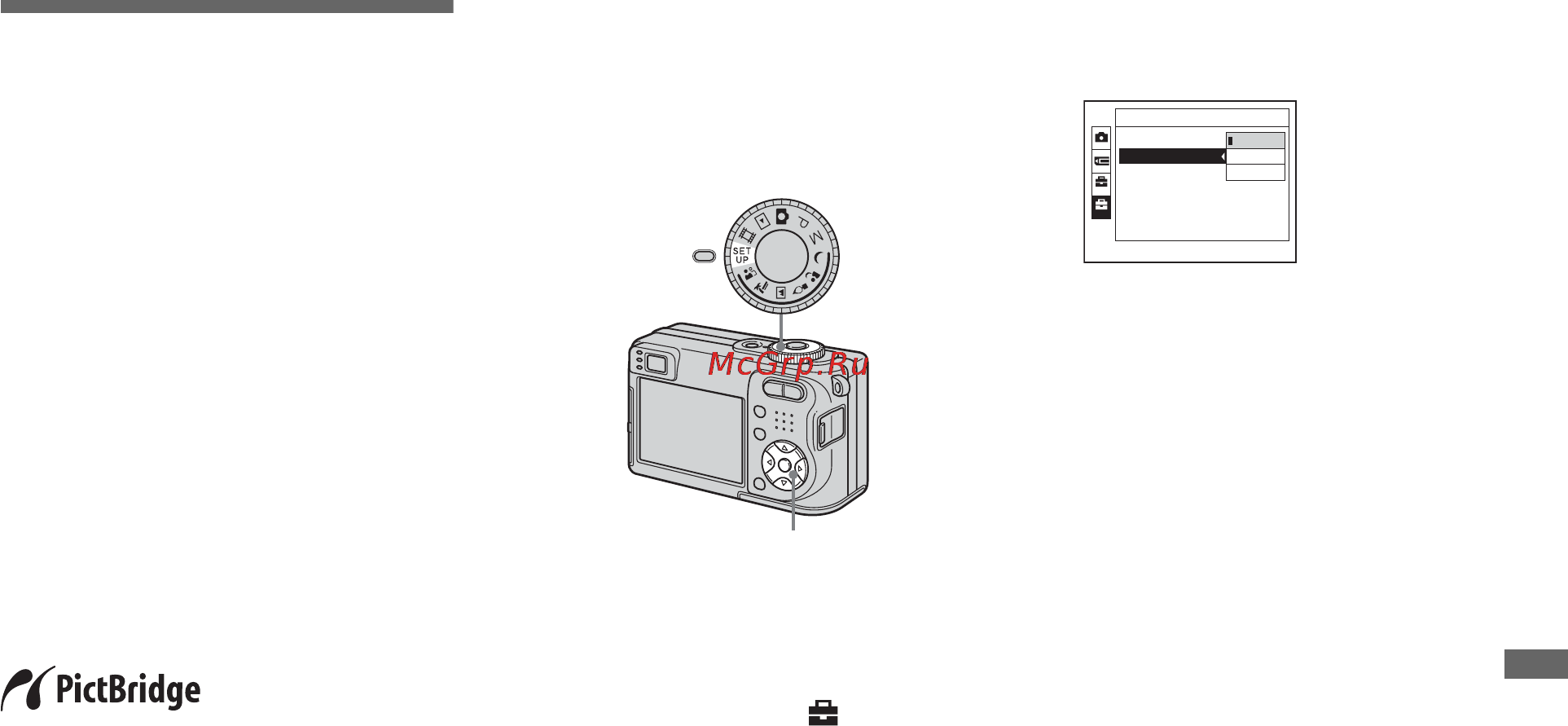 Sony Cyber-Shot DSC-W1 [81/276] Ïå àòü íåïîäâèæíîãî èçîá²àæåíèø ï²èíòå² pictbridge