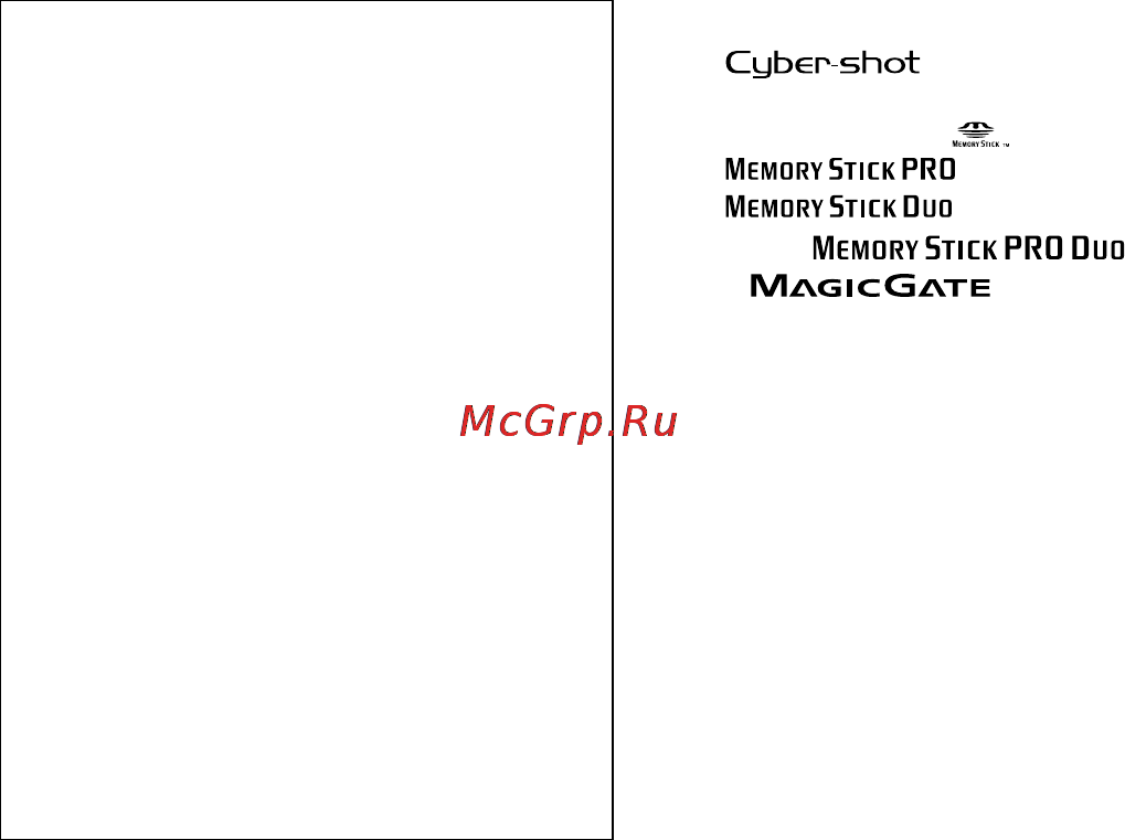 Sony Cyber-Shot DSC-V3 [5/344] Изображения используемые в данном руководстве