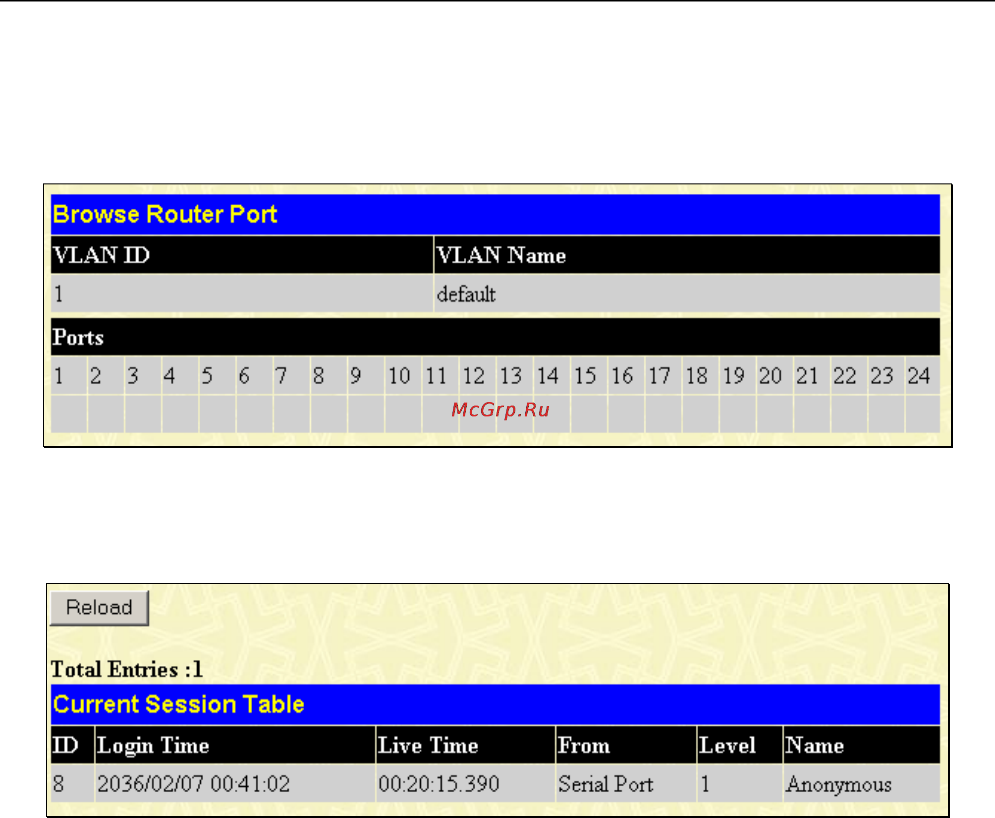 D-Link DGS-3224TG [148/180] Router port
