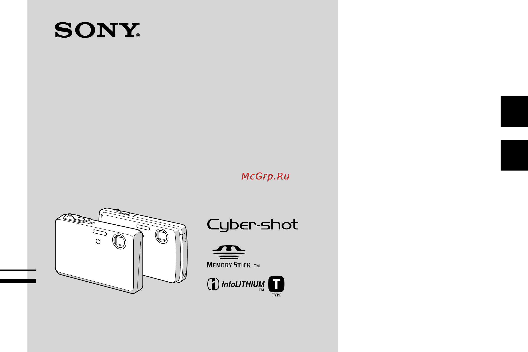 Sony Cyber-Shot DSC-T33 Инструкция по эксплуатации онлайн