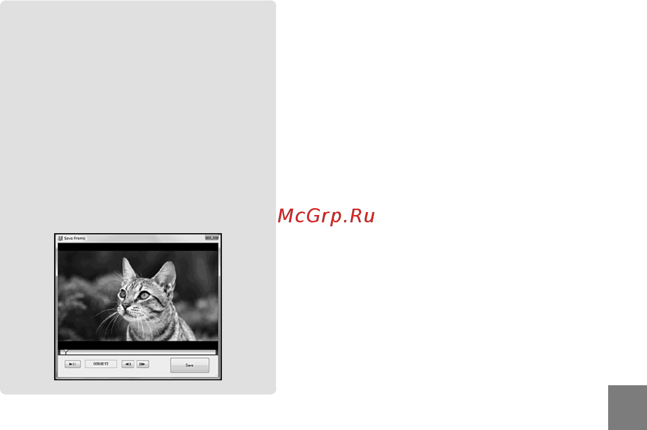 Sony DCR-SR88E [41/147] Захват фотографии из фильма