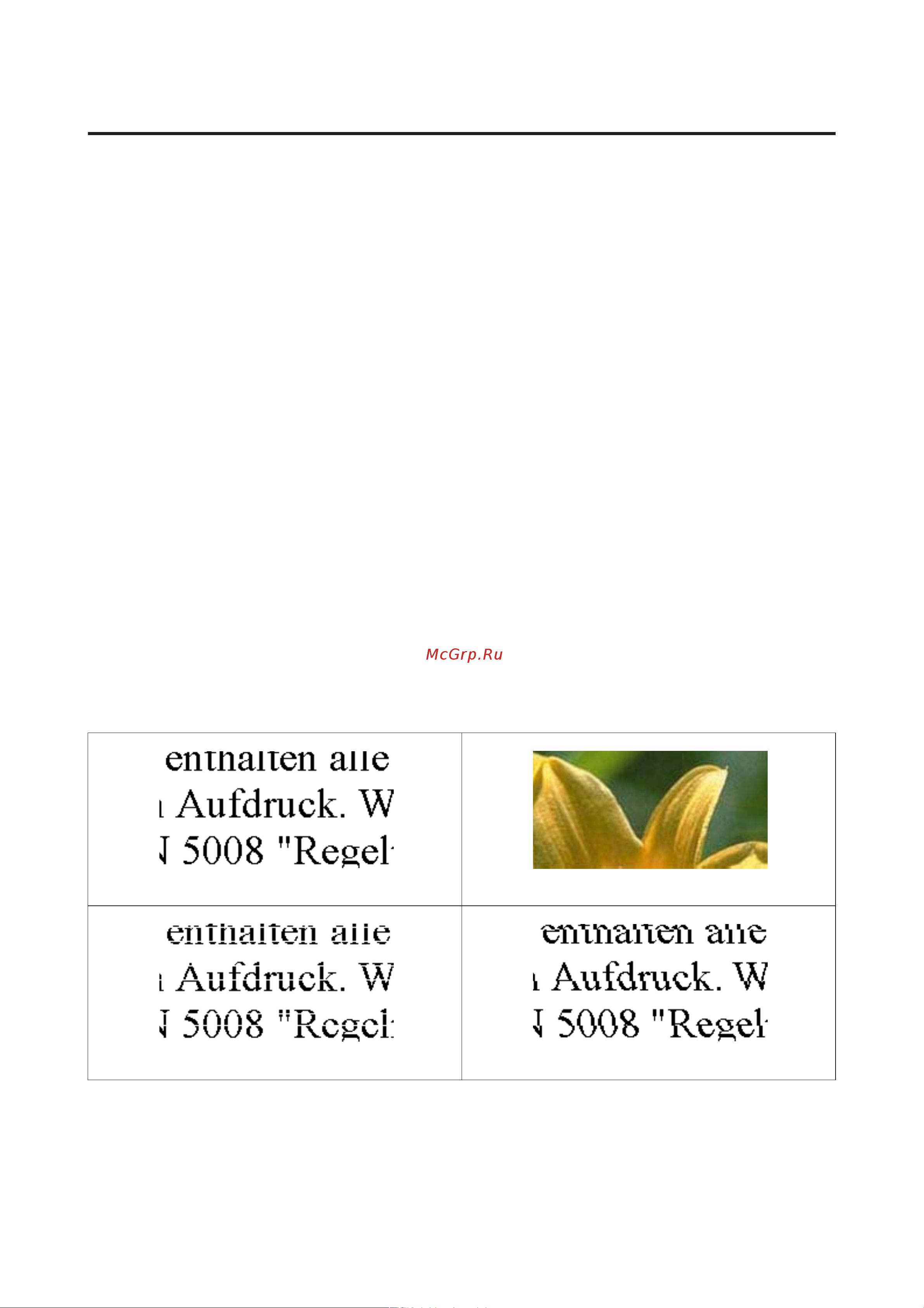 Epson L355 [88/121] Справка по качеству печати