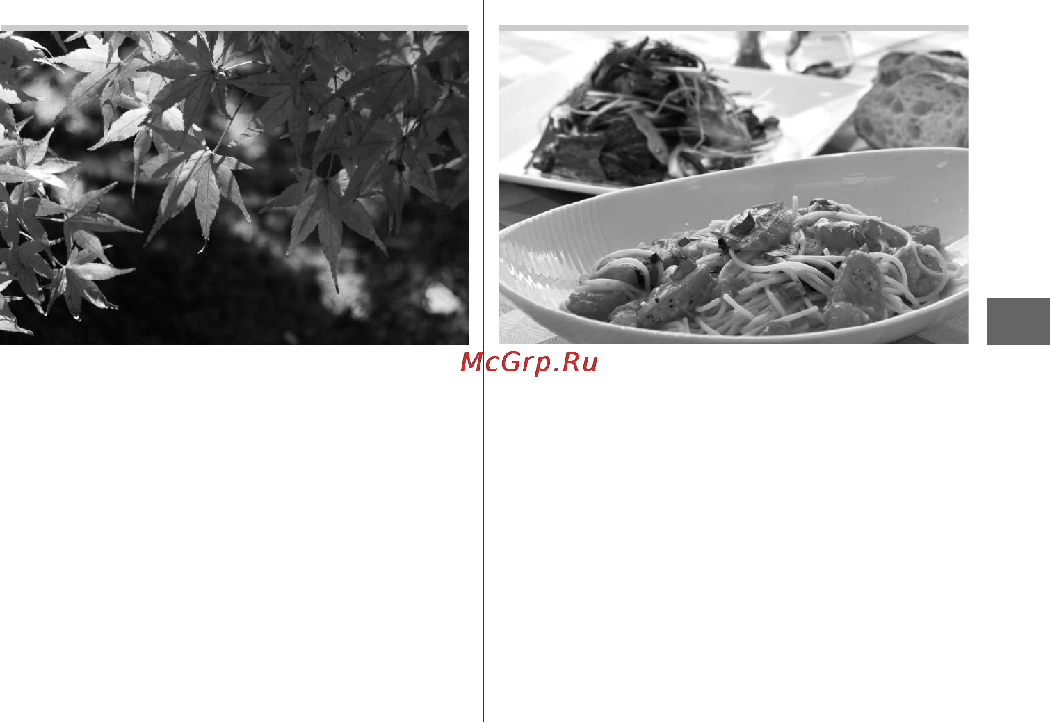 Nikon D7100 Kit 18-105VR [73/384] Краски осени