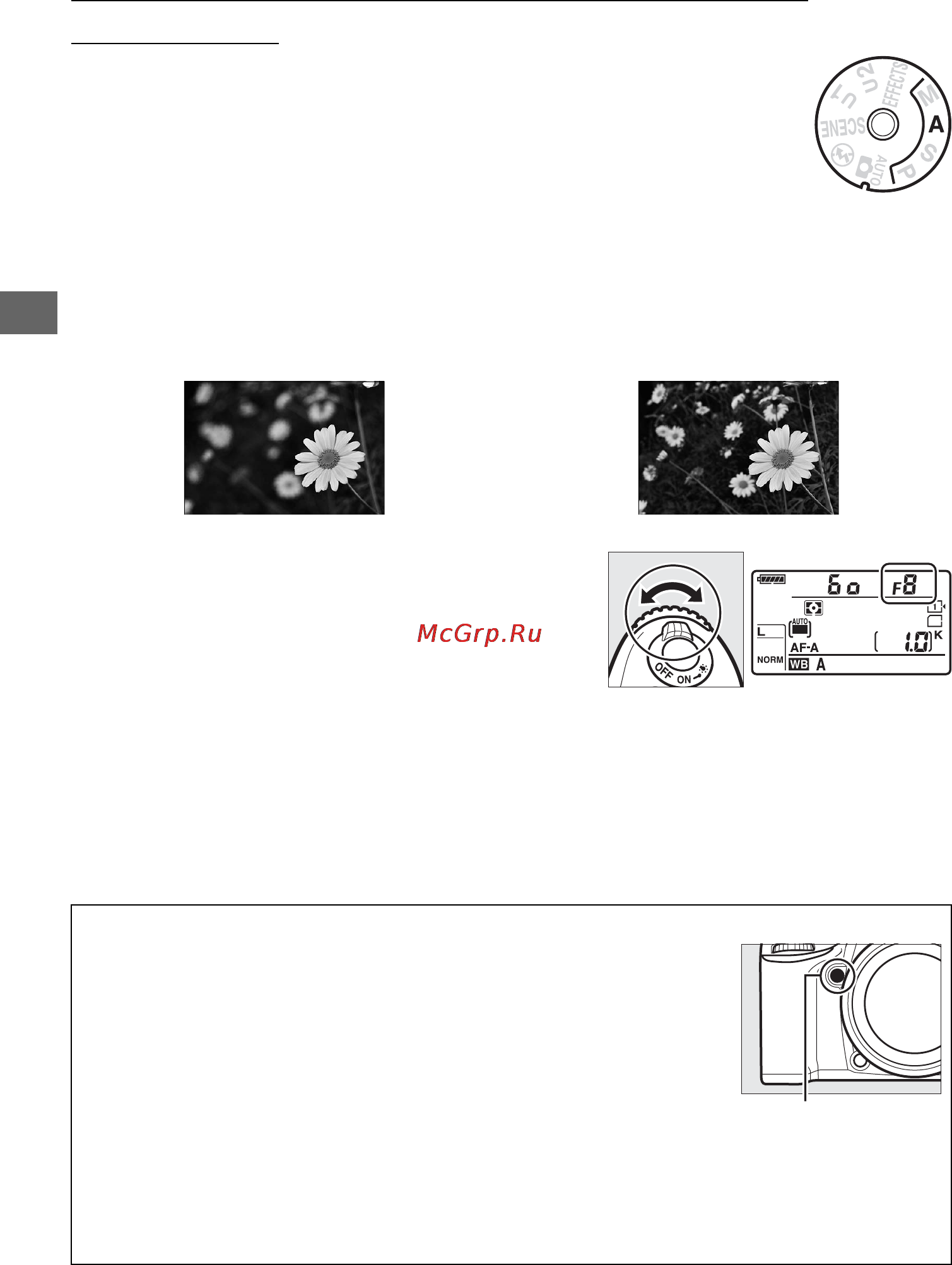 Nikon D7100 Kit 18-105VR [78/384] A автоматический режим с приоритетом диафрагмы