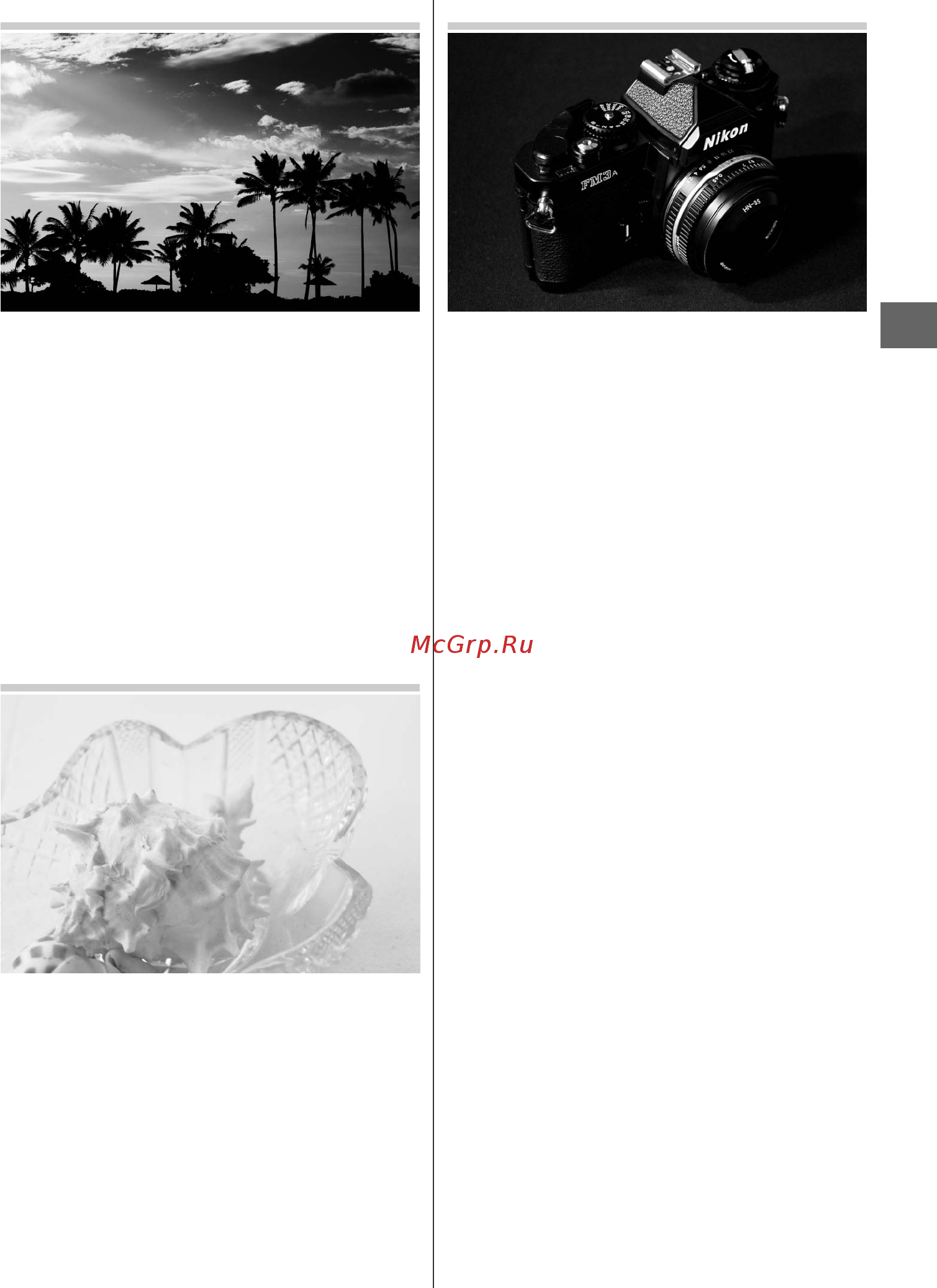 Nikon D600+AF-S 24-85 [71/368] Силуэт