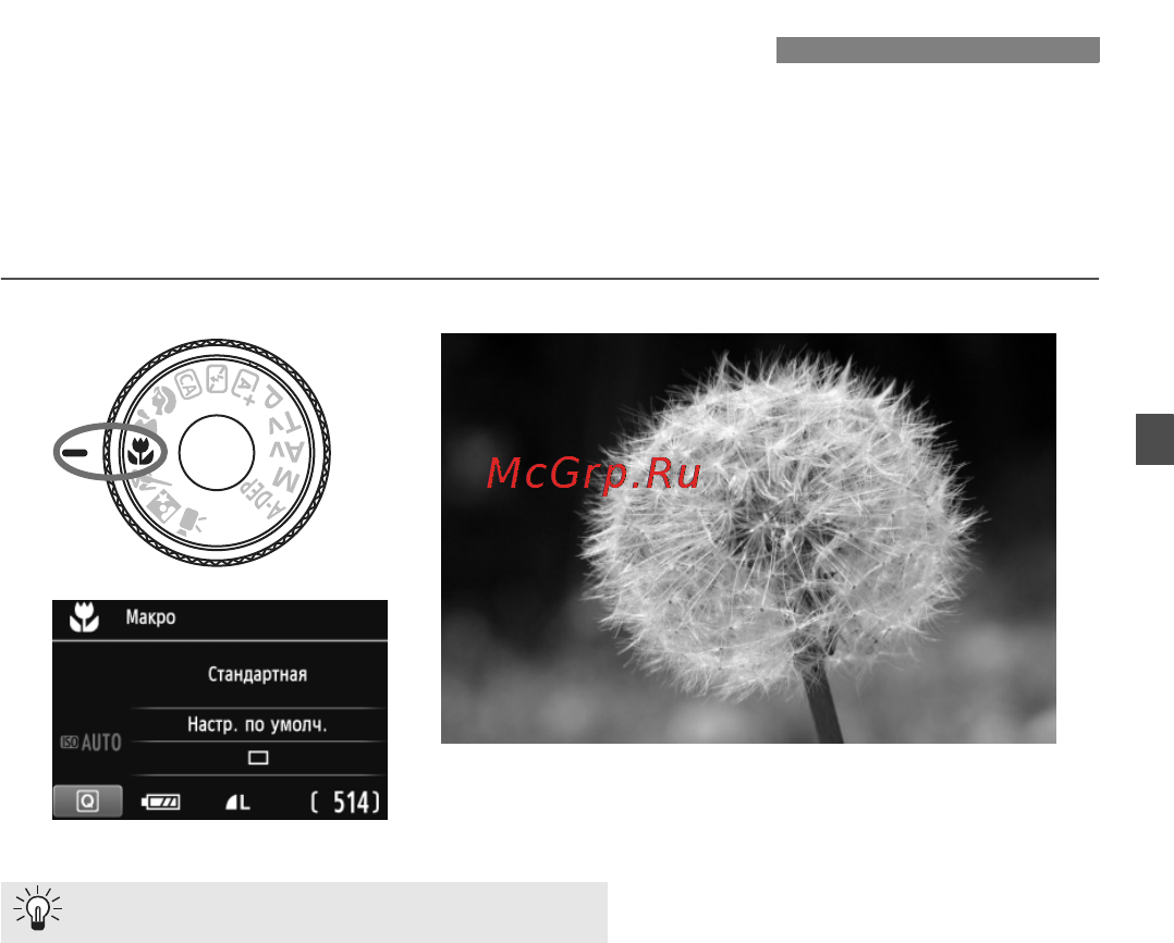 Canon EOS 600D EF-S kit 18-55IS II [61/328] Съемка крупным планом