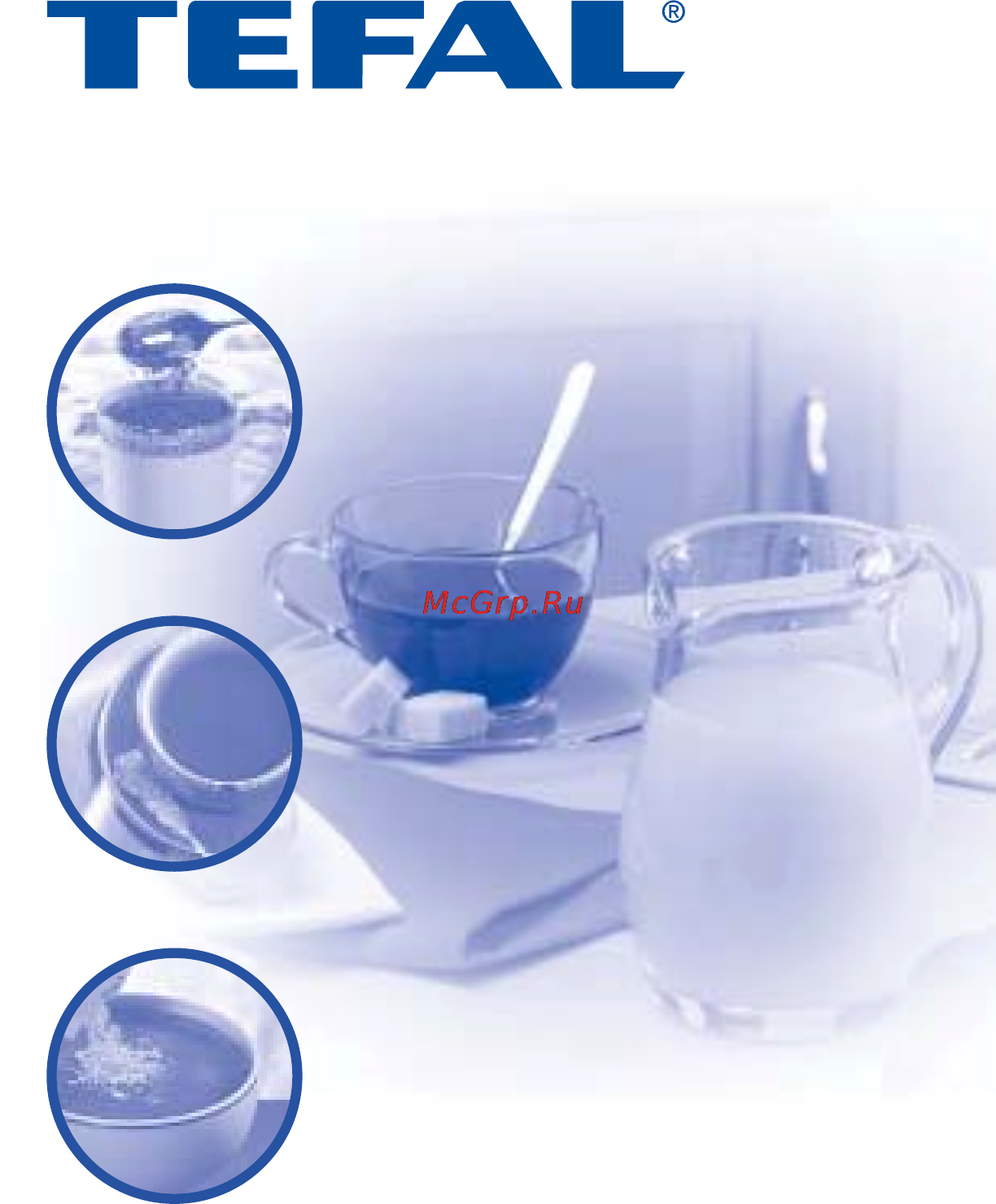 Tefal BI 66254G Инструкция по эксплуатации онлайн