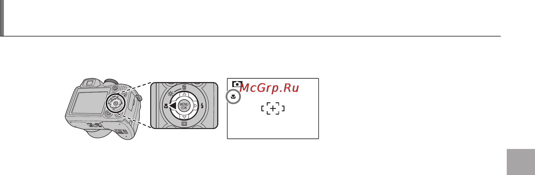 Fujifilm FINEPIX S2980 [49/140] При включенном режиме макросъемки фотокамера фокусируется на объектах расположенных ря дом с центром кадра воспользуйтесь регулятором зума для компоновки фотографий в р...