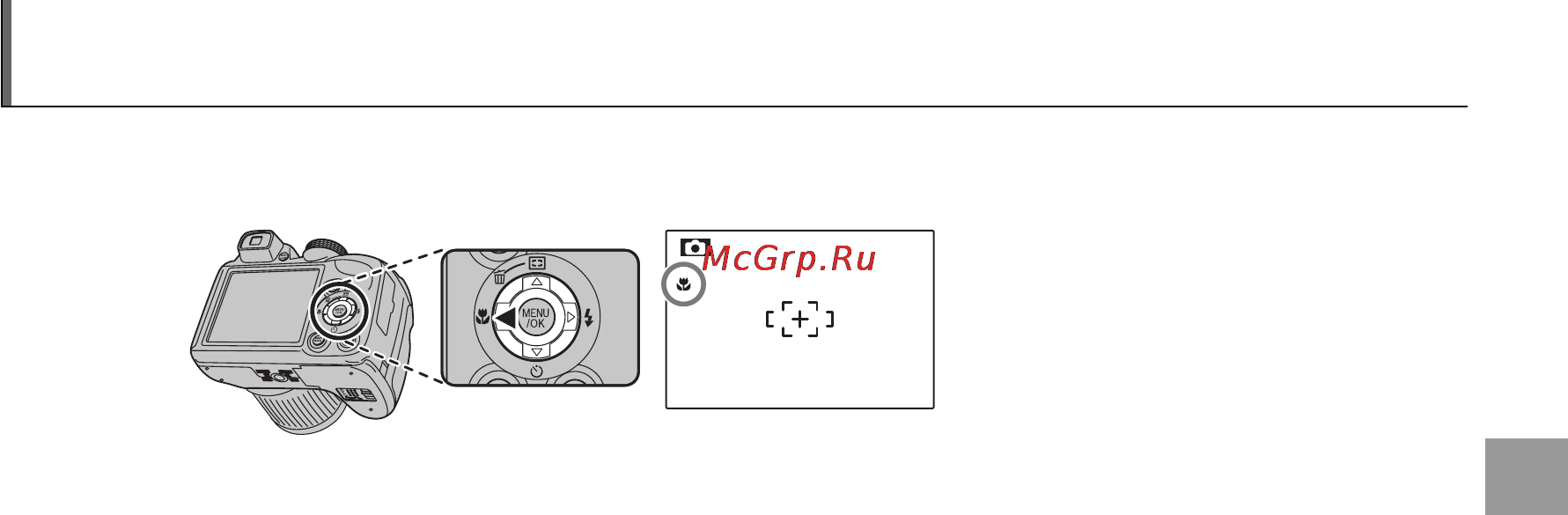 Fujifilm FINEPIX S4300 [49/144] Режимы макросъемки и супер макросъемки съемка с близкого расстояния