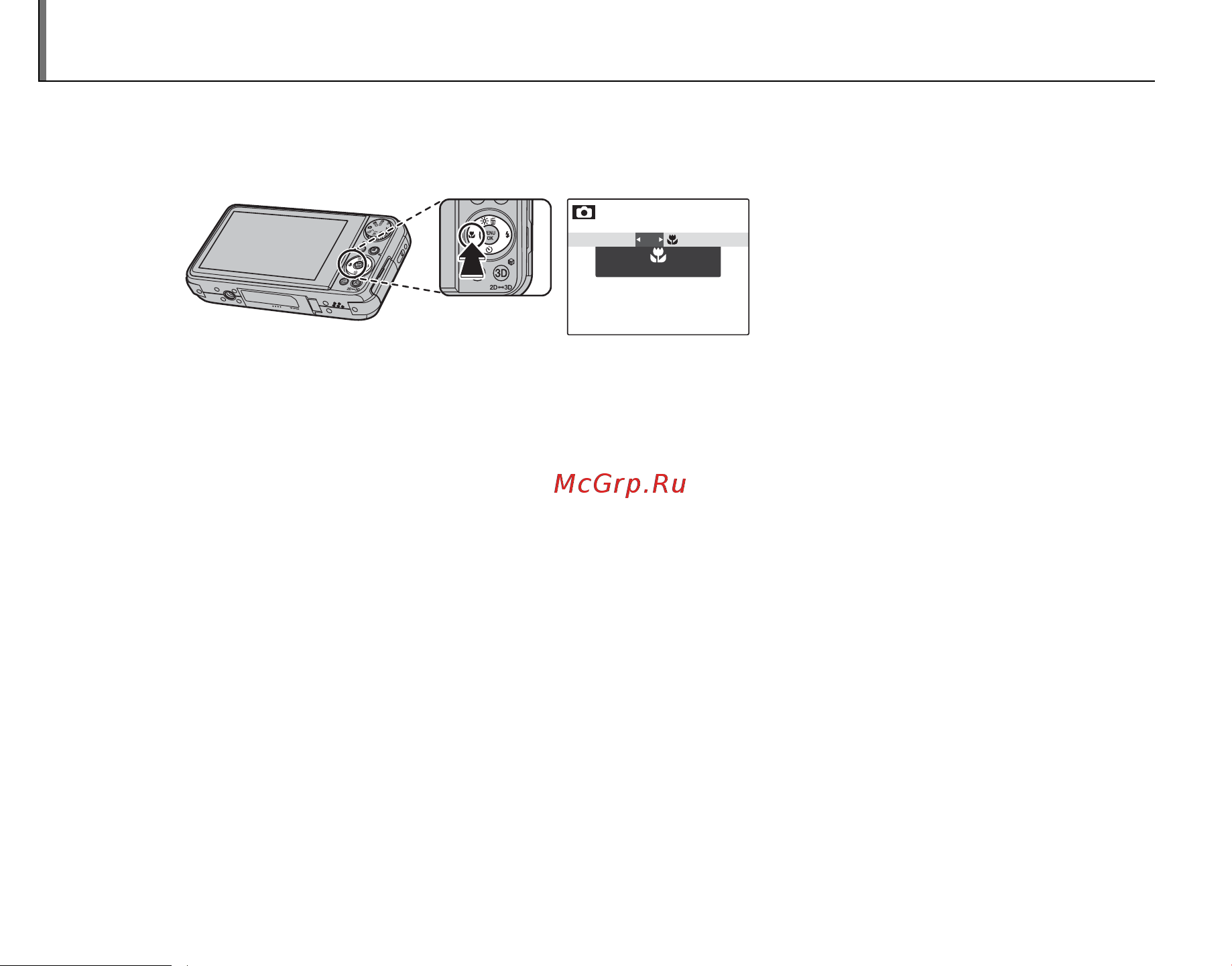 Fujifilm FINEPIX REAL 3D W3 [48/122] F режим макросъемки съемка с близкого расстояния