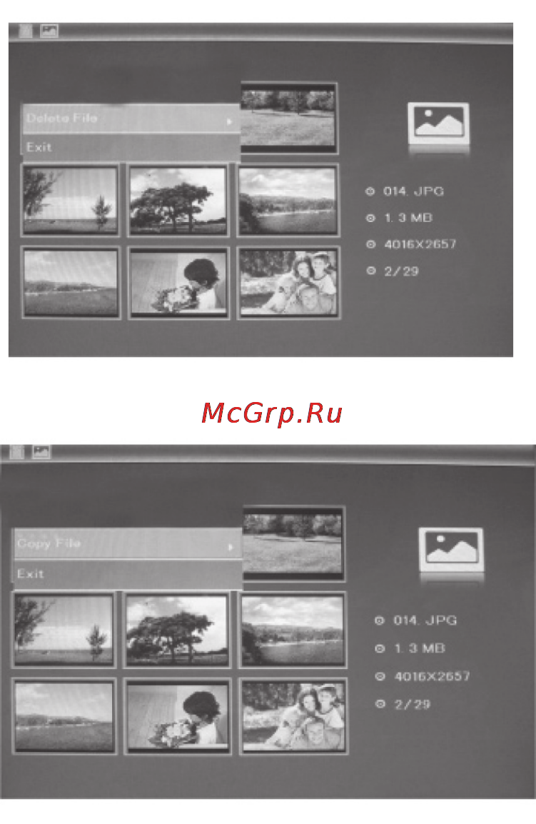 Rekam DEJAVIEW HD830 [35/40] Copy delete function