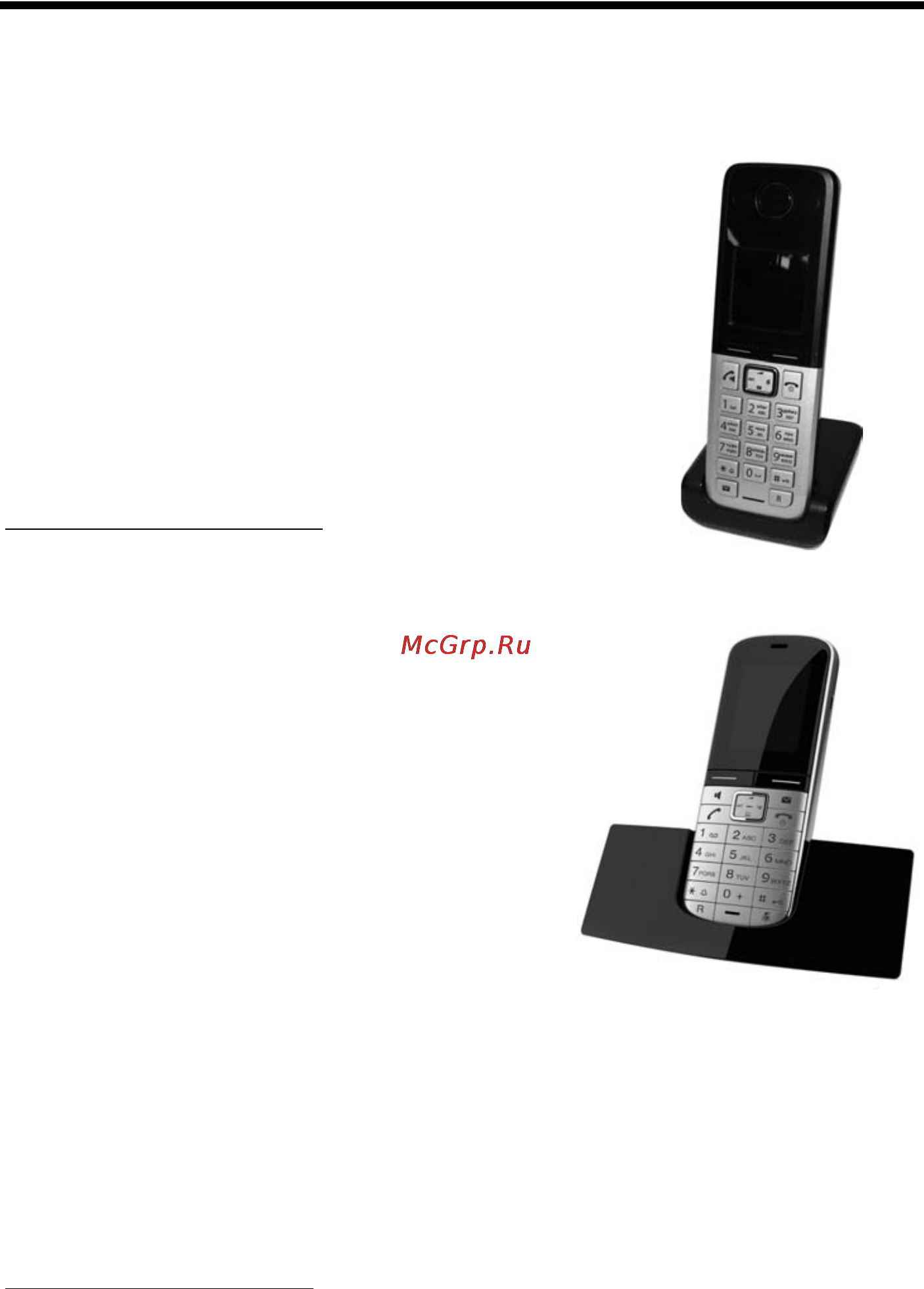 Gigaset C300 Duo Black [75/88] Принадлежности