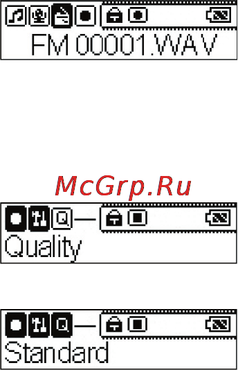 Rover MediaM1(256+SD) [20/22] Настройка качества записи