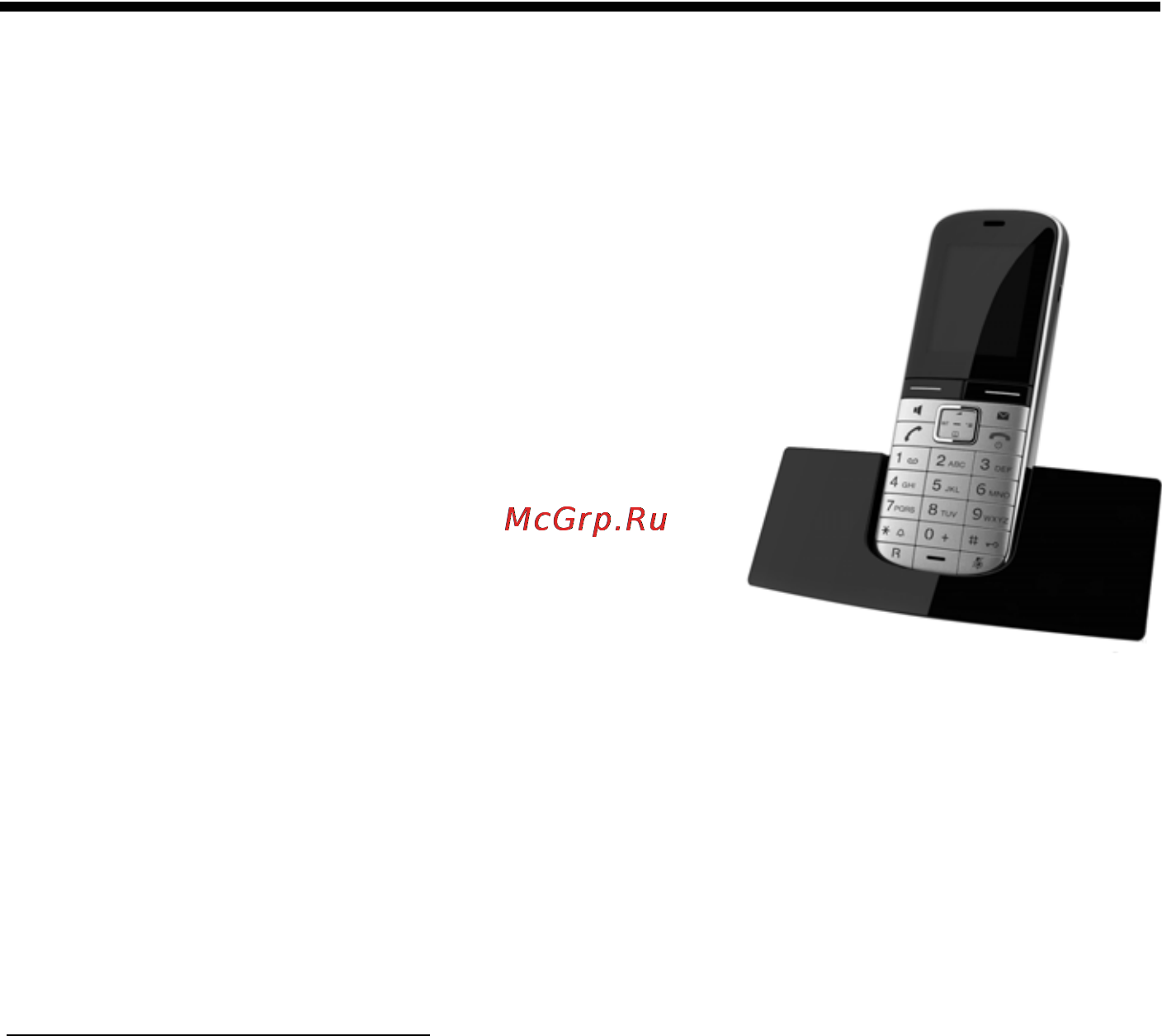 Gigaset SL400 Metal Black [102/114] Принадлежности