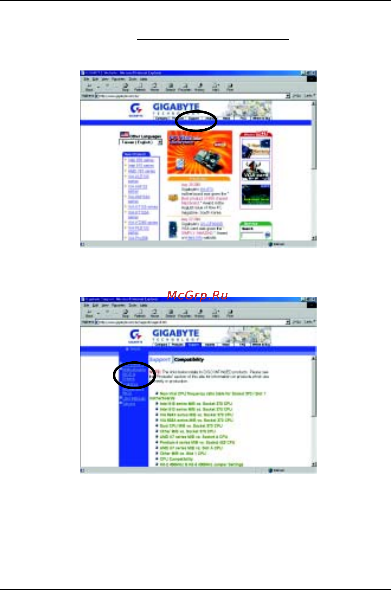 Gigabyte GA-8IGX Инструкция по эксплуатации онлайн [84/95] 43741