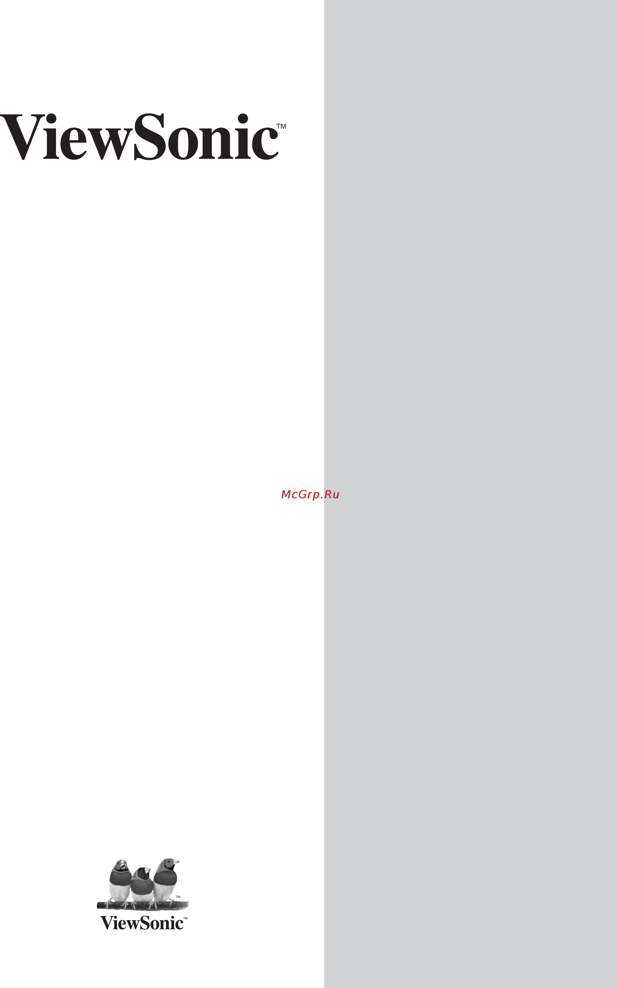 Viewsonic VFM1043W-51E Black Инструкция по эксплуатации онлайн